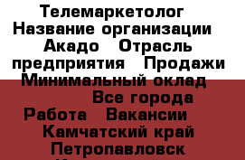 Телемаркетолог › Название организации ­ Акадо › Отрасль предприятия ­ Продажи › Минимальный оклад ­ 30 000 - Все города Работа » Вакансии   . Камчатский край,Петропавловск-Камчатский г.